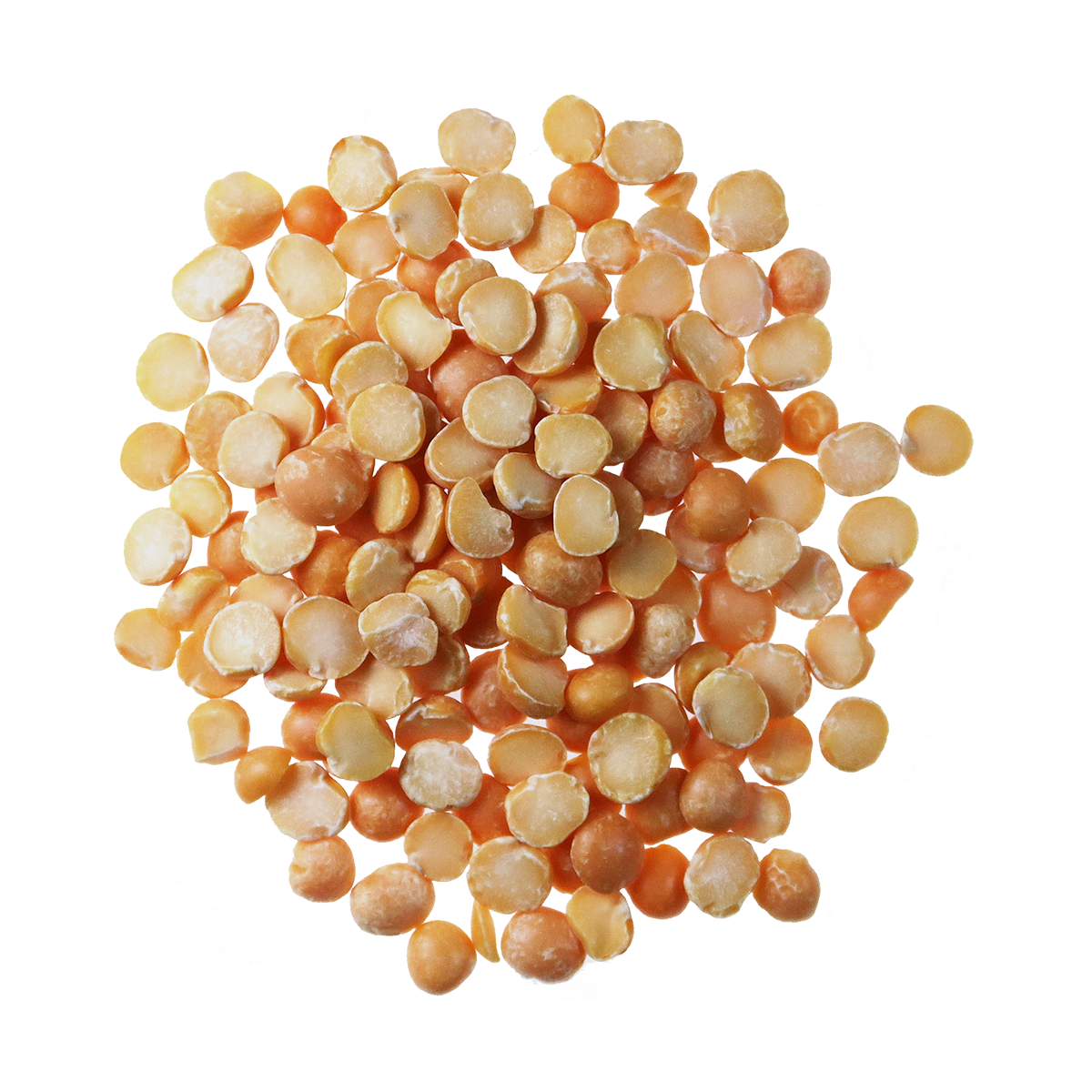 Organic Yellow Split Peas - 25lb