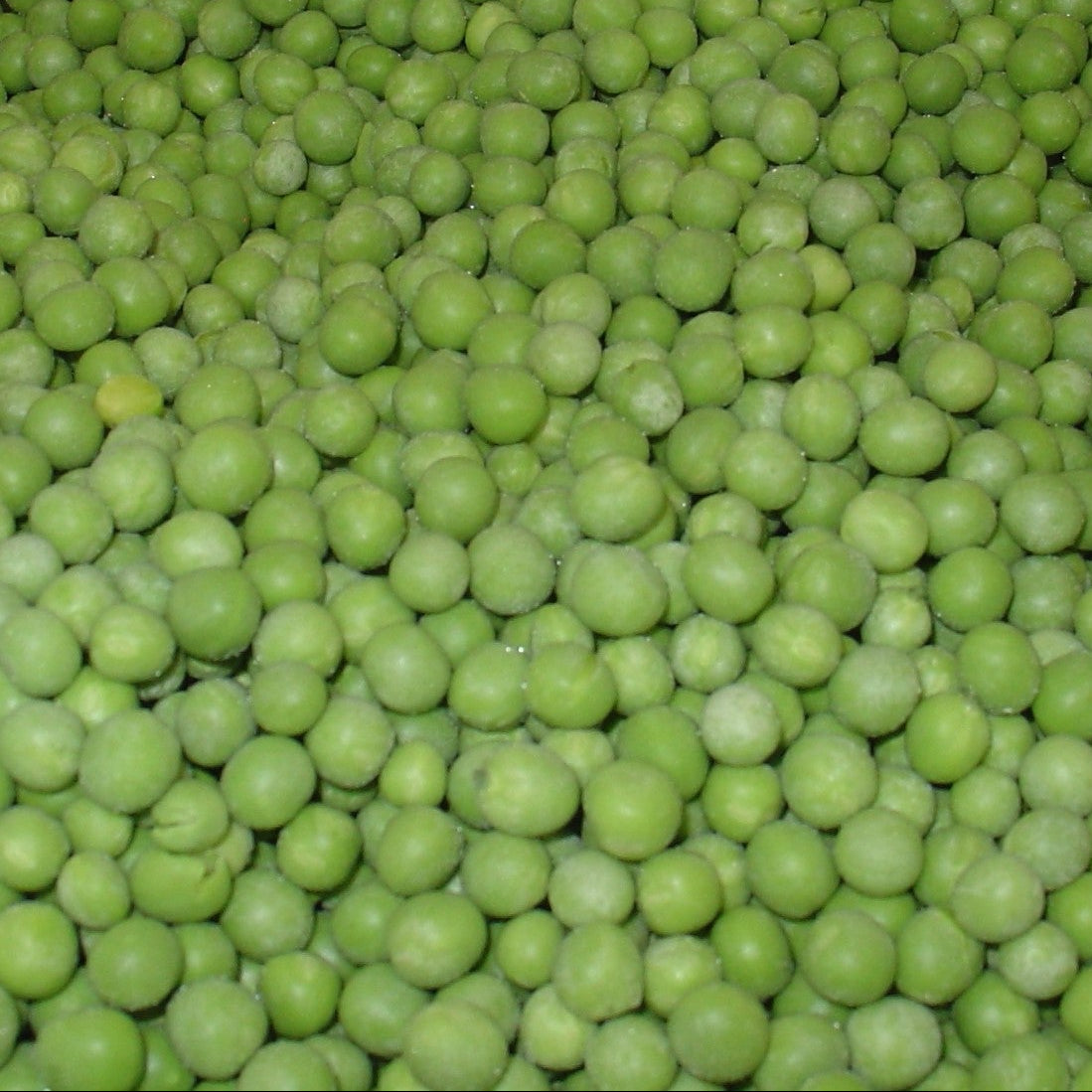 Frozen Peas