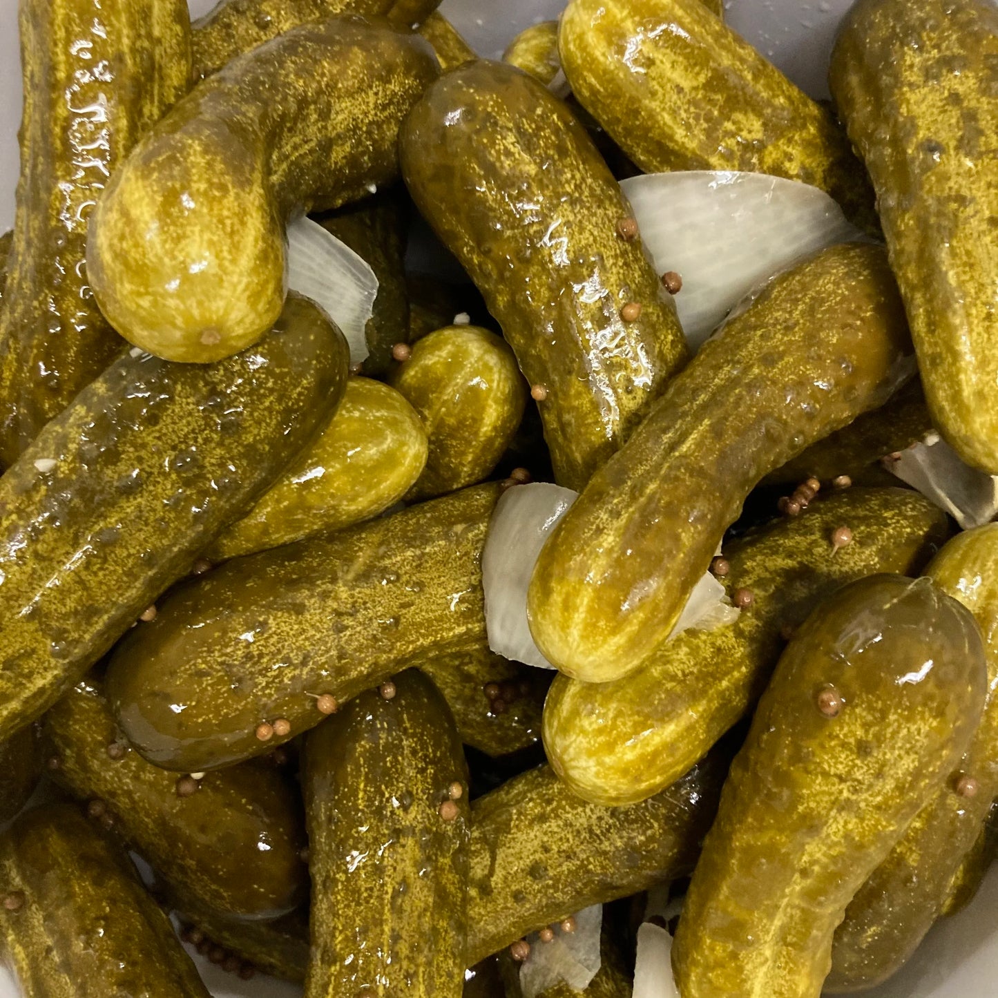 Wet fermented pickles with coriander seeds and slices of onion