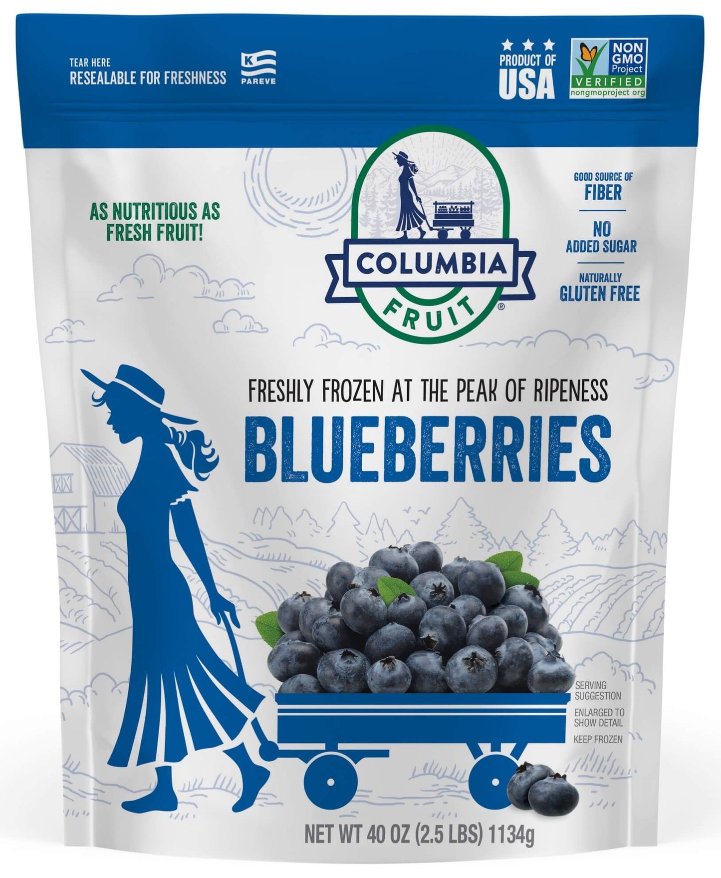Frozen Blueberries